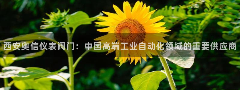 顺盈注册娱乐