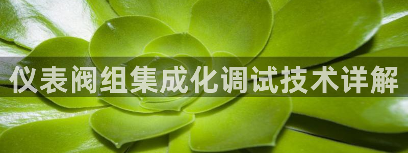 顺盈娱乐是什么意思