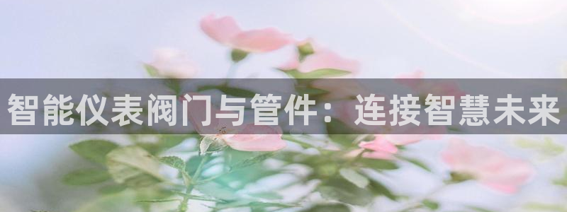 顺盈娱乐是什么
