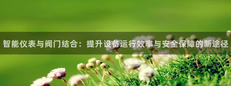 顺盈娱乐注册平台是什么