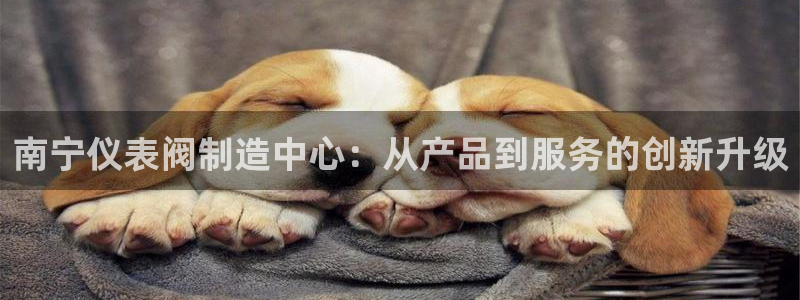 顺盈娱乐招商低判官333OO