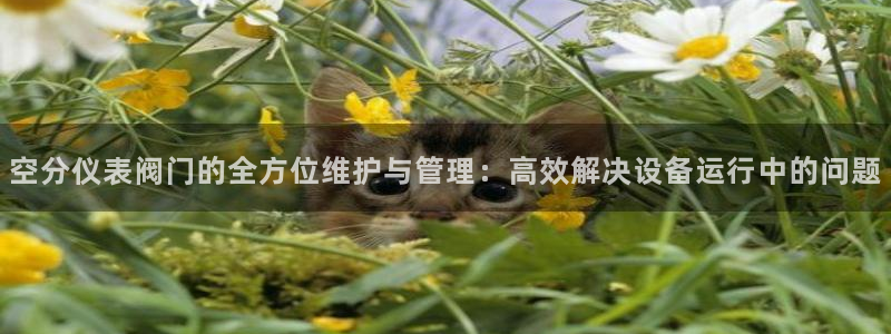 顺盈广场娱乐会所电话