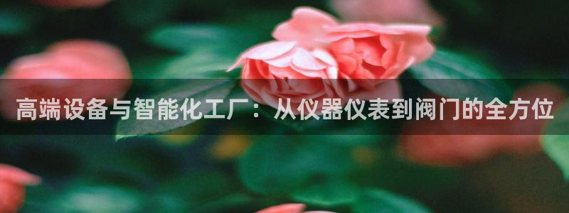 顺盈娱乐平台注册条件