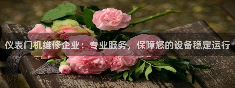 顺盈娱乐地址
